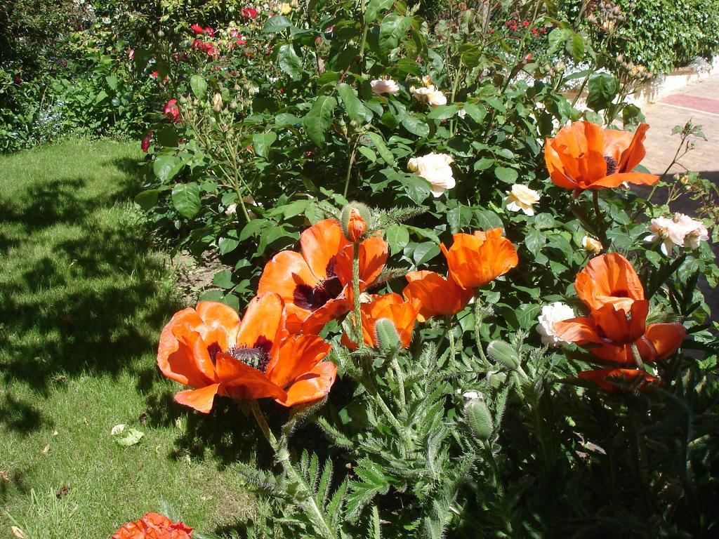 Couette Et Cafe Creme Bed & Breakfast Le Coudray Bagian luar foto